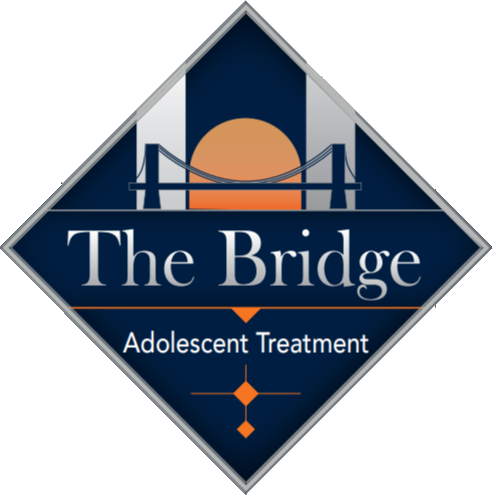 The Bridge OC - Adolescent Mental Health Treatment Center